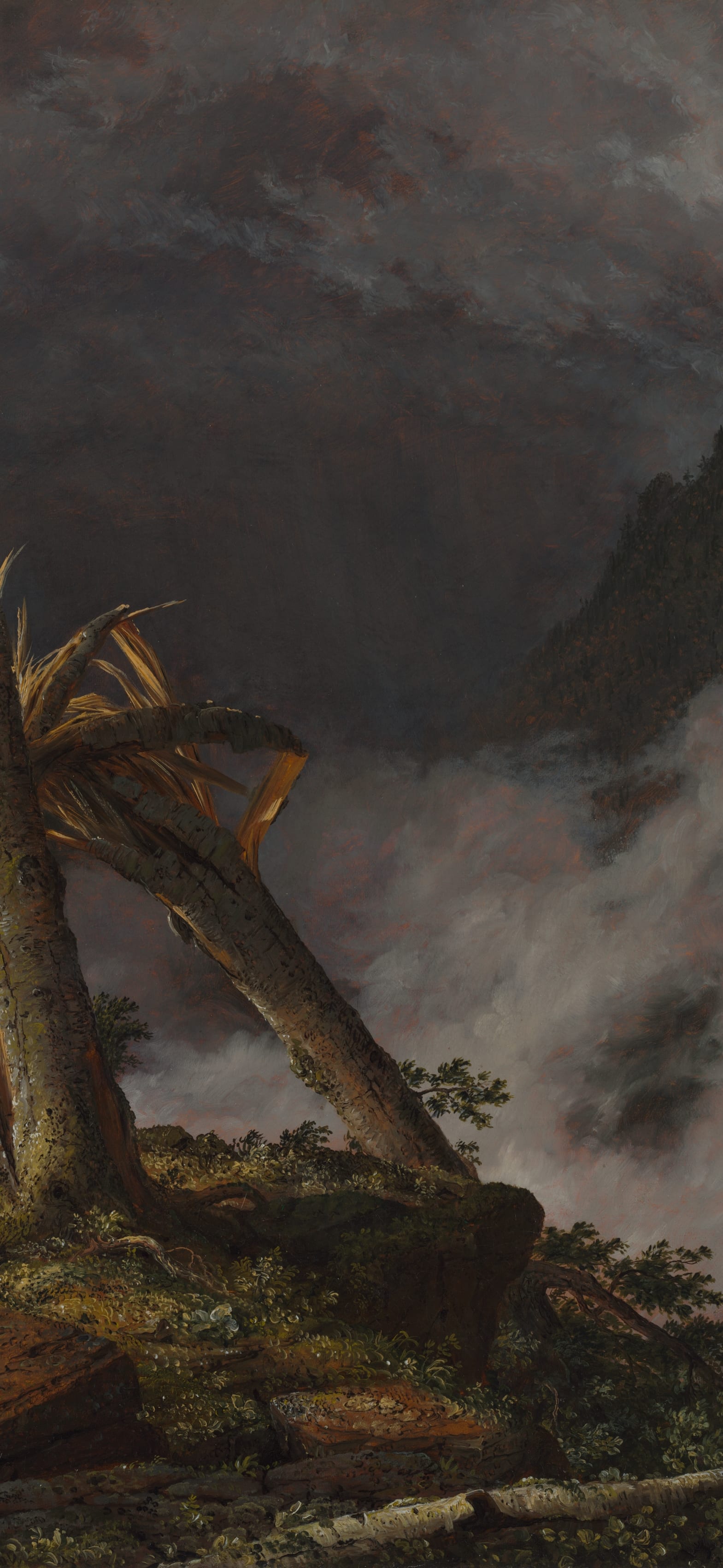 Storm in the Mountains, cropped to 9:19.5, tall phone background