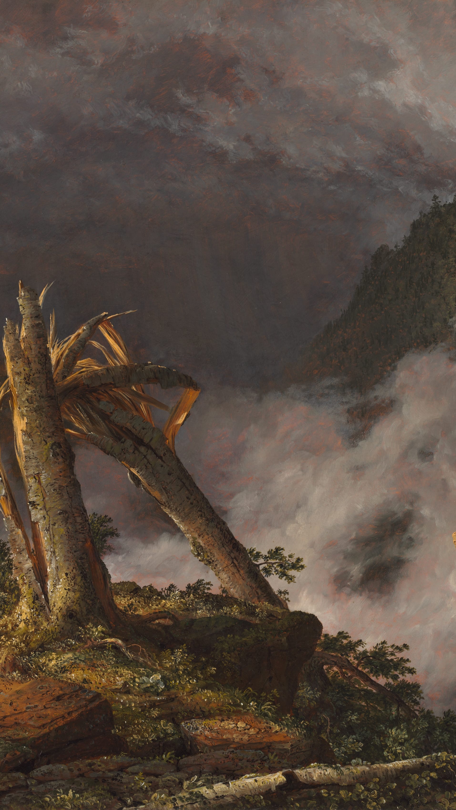 Dark moody vertical iPhone background from a painting: storm-split birch trunk glowing golden against dark purple-grey storm clouds, pink mist in a mountain gorge, menacing and dramatic
