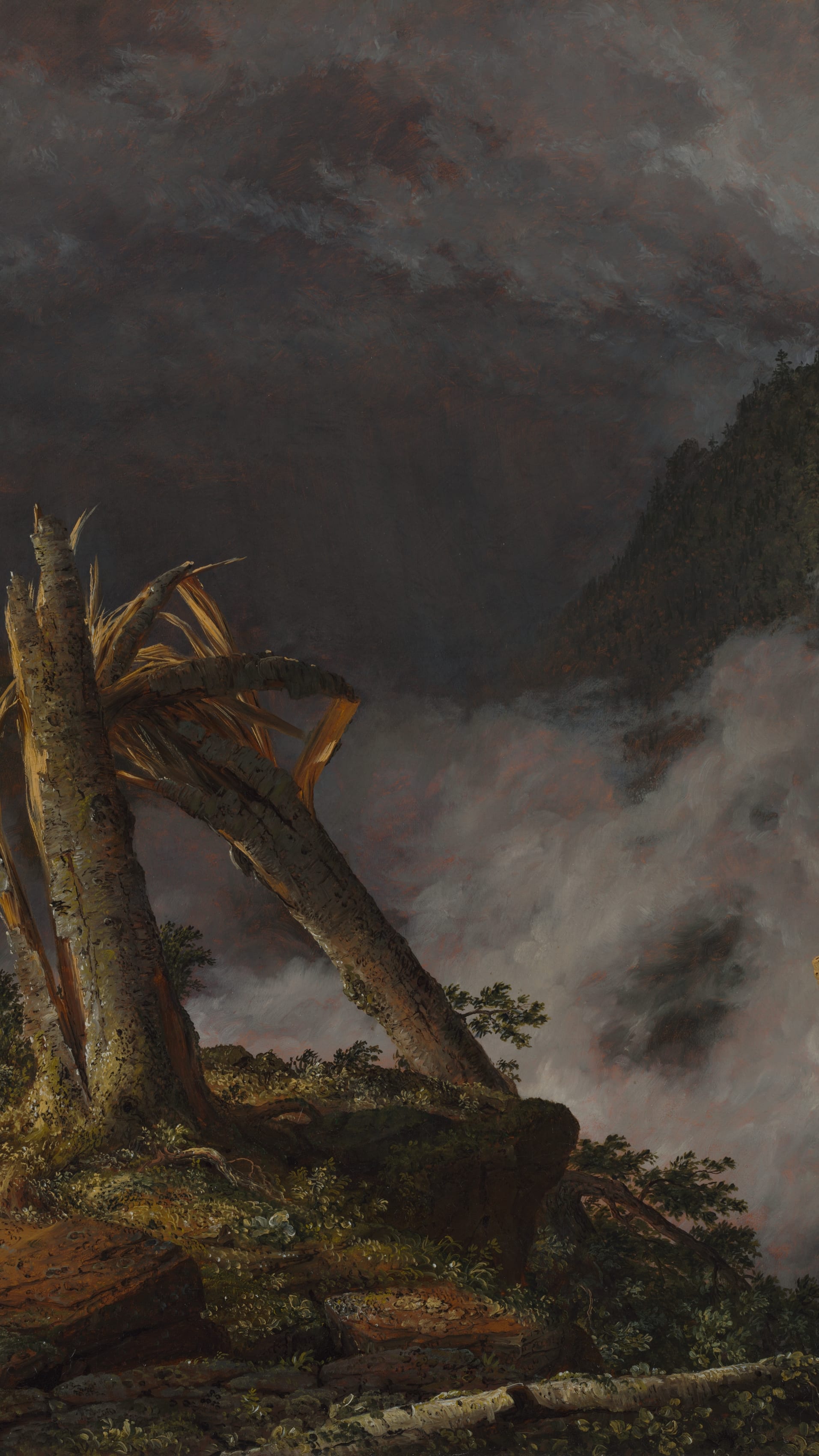 Dark moody vertical iPhone background from a painting: storm-split birch trunk glowing golden against dark purple-grey storm clouds, pink mist in a mountain gorge, menacing and dramatic