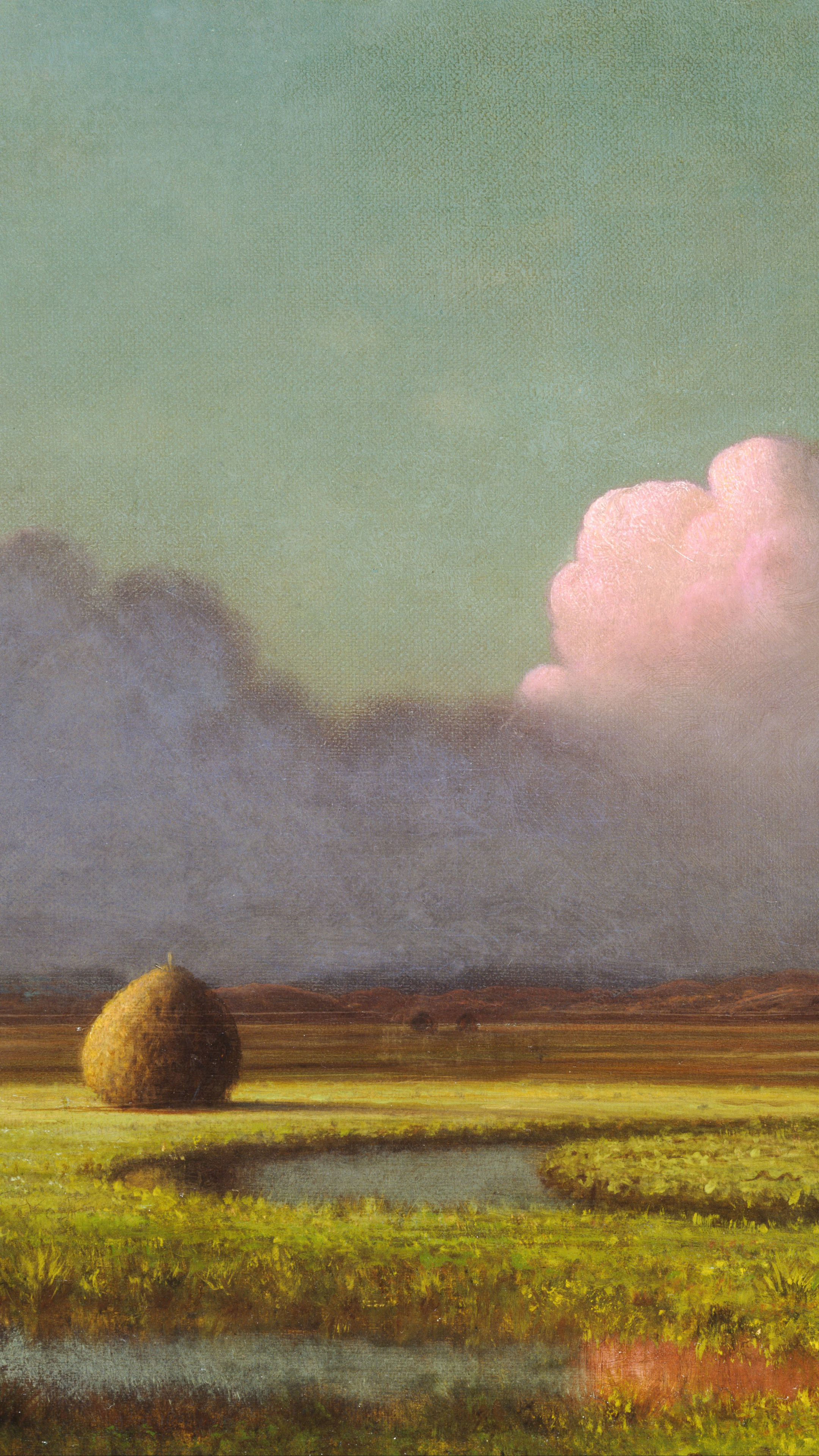 Vertical iPhone background from a painting: flat marsh with a haystack, a broad bank of cloud and low sun across the grass