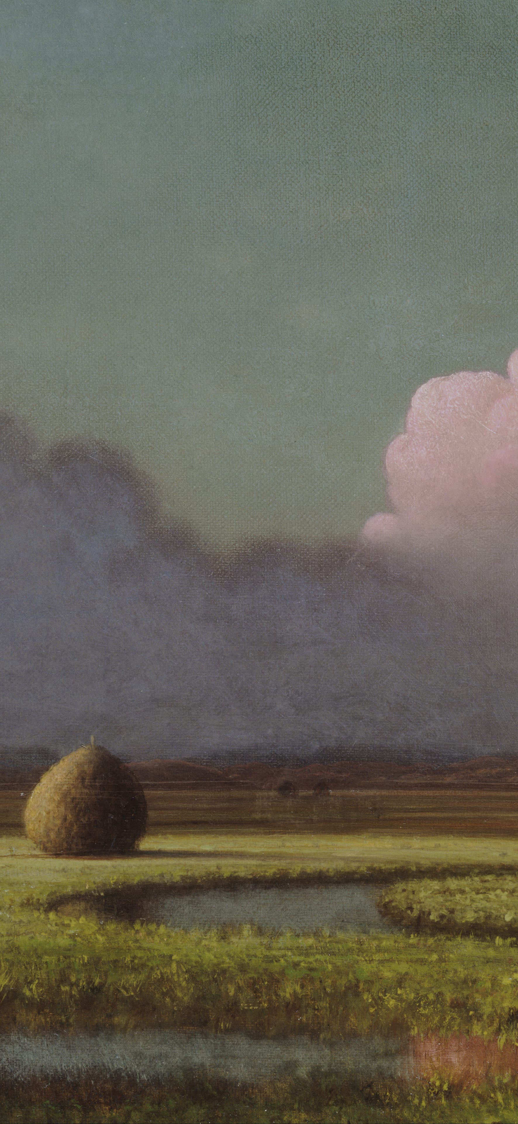 Vertical iPhone background from a painting: flat marsh with a haystack, a broad bank of cloud and low sun across the grass