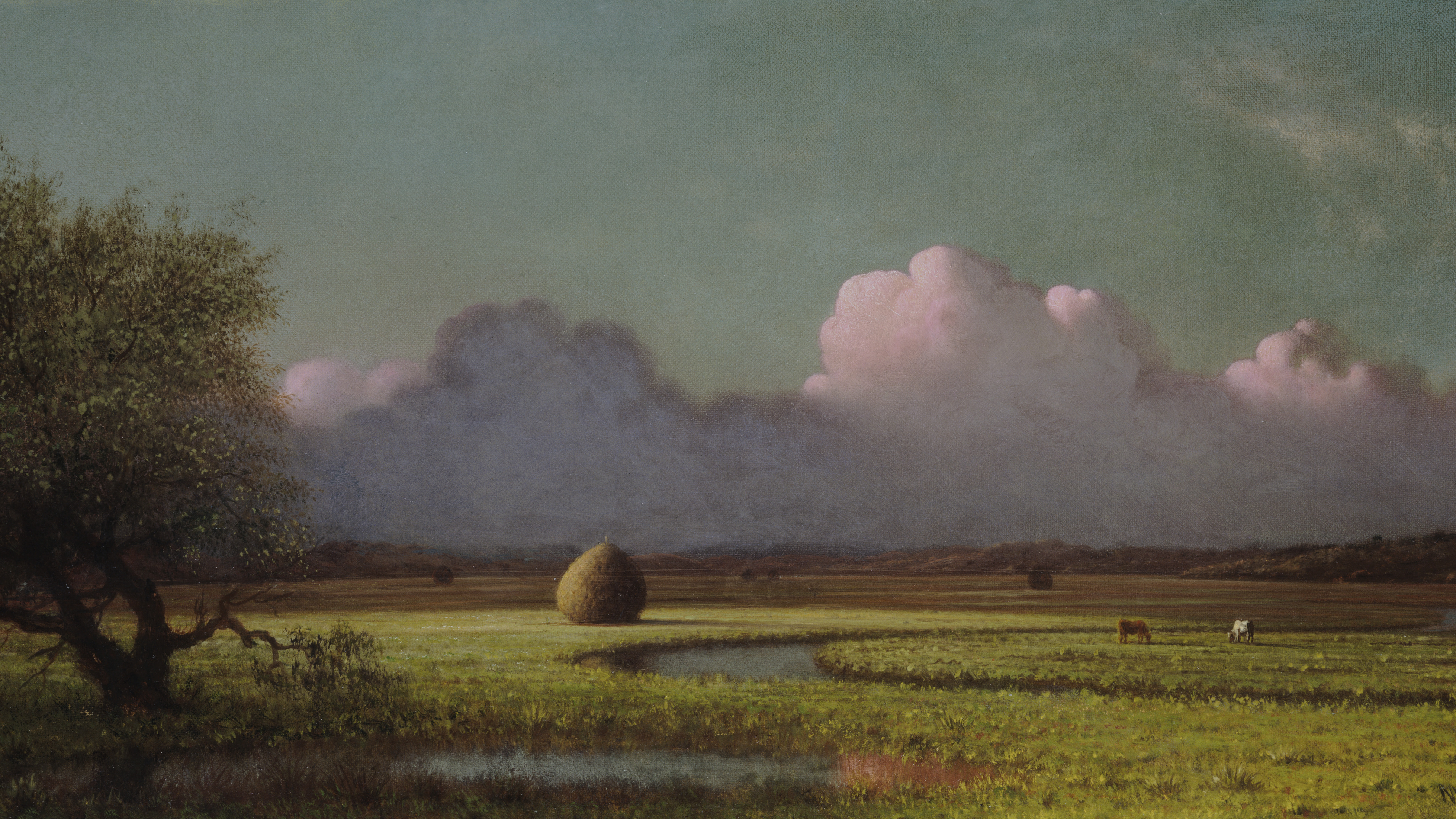 Sunlight and Shadow: The Newbury Marshes, cropped to 16:9, desktop background