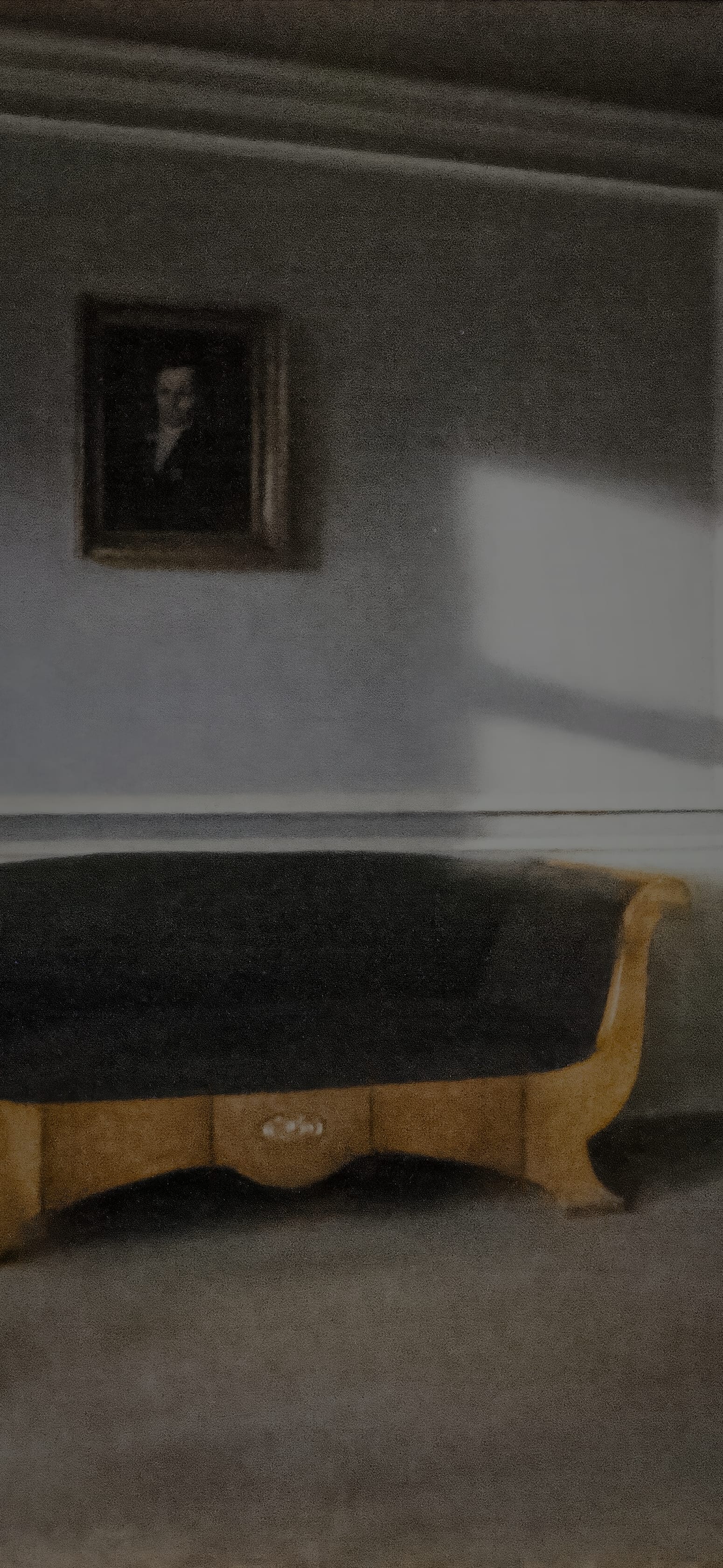 Sunshine in the Drawing Room, cropped to 9:19.5, tall phone background