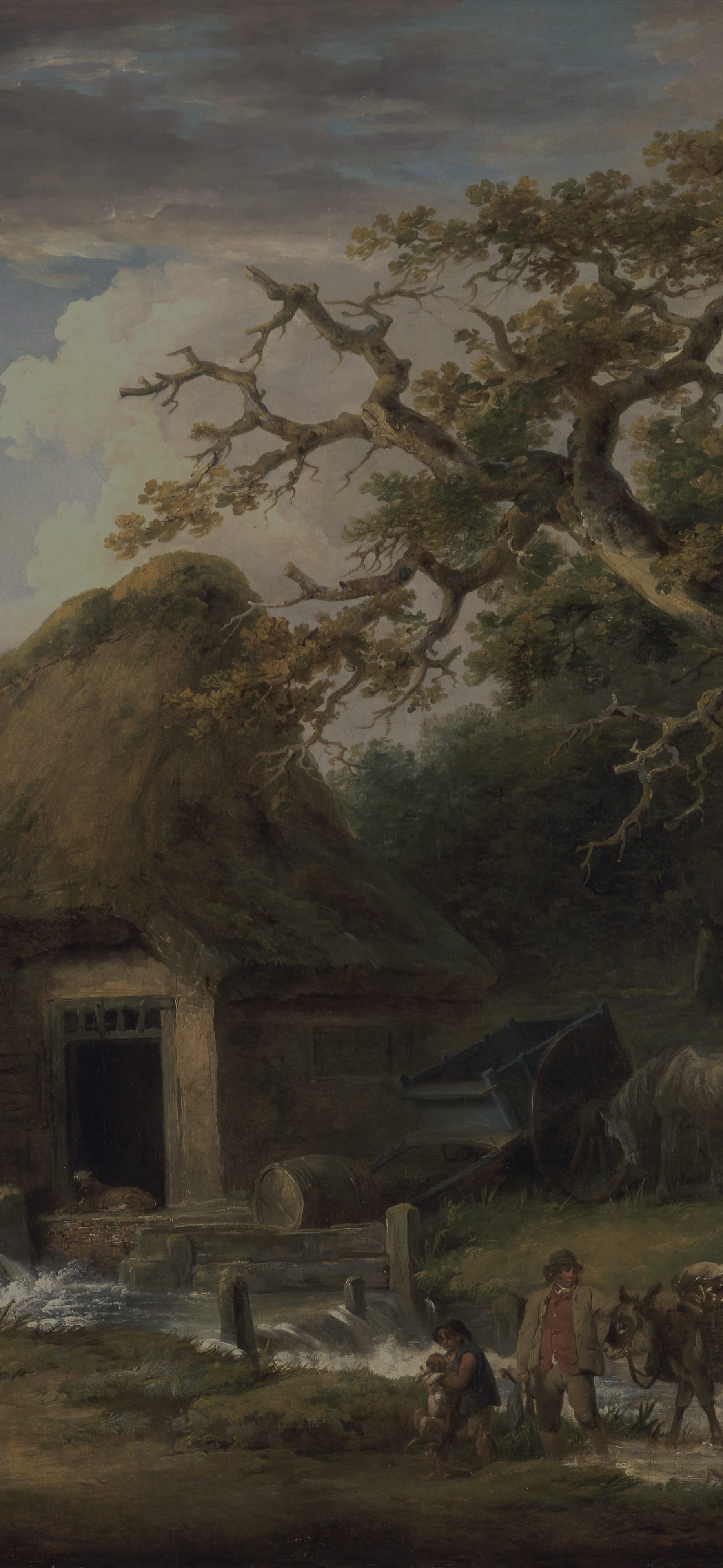 The Old Water Mill, cropped to 9:19.5, tall phone background