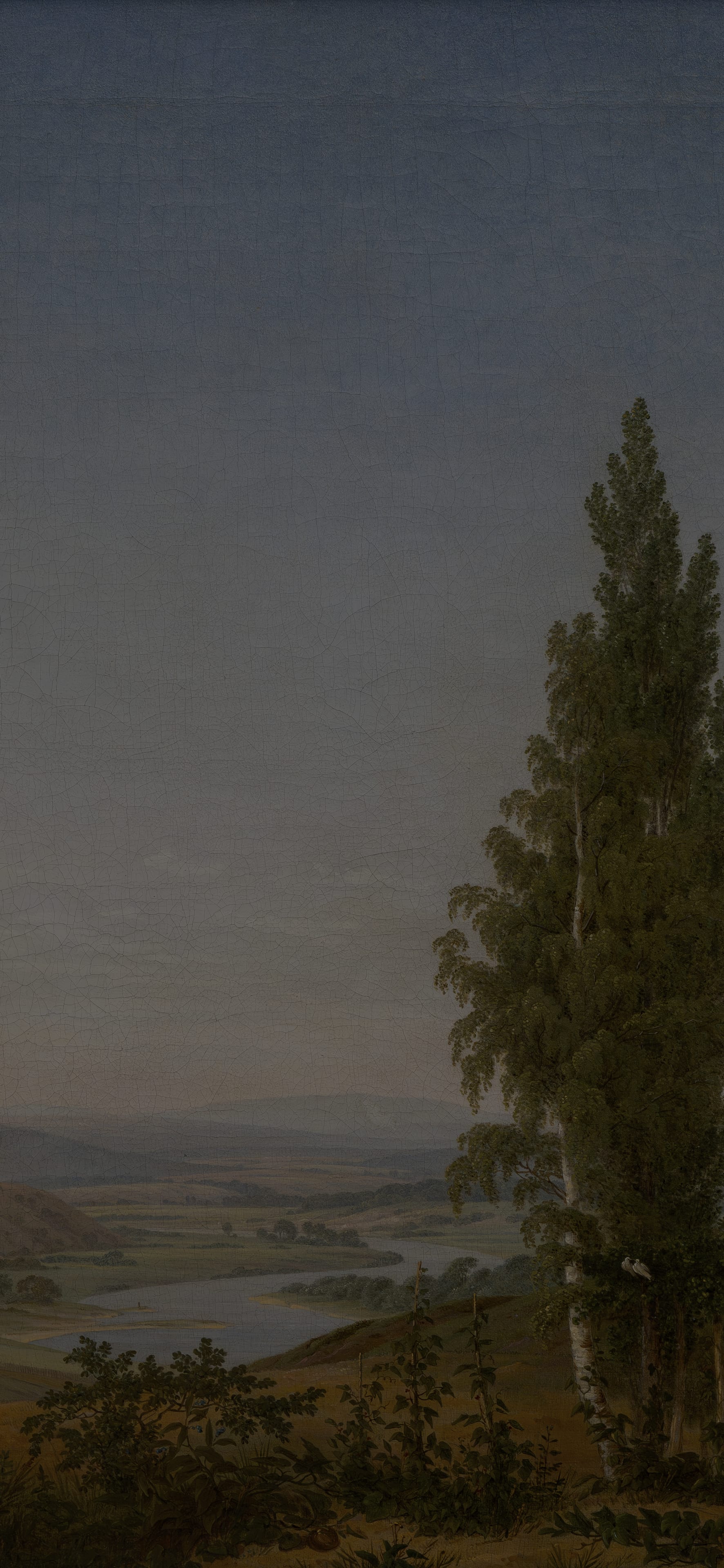 Dark moody vertical iPhone background from a painting: wide green valley under a pale sky with a single tall poplar in the middle distance