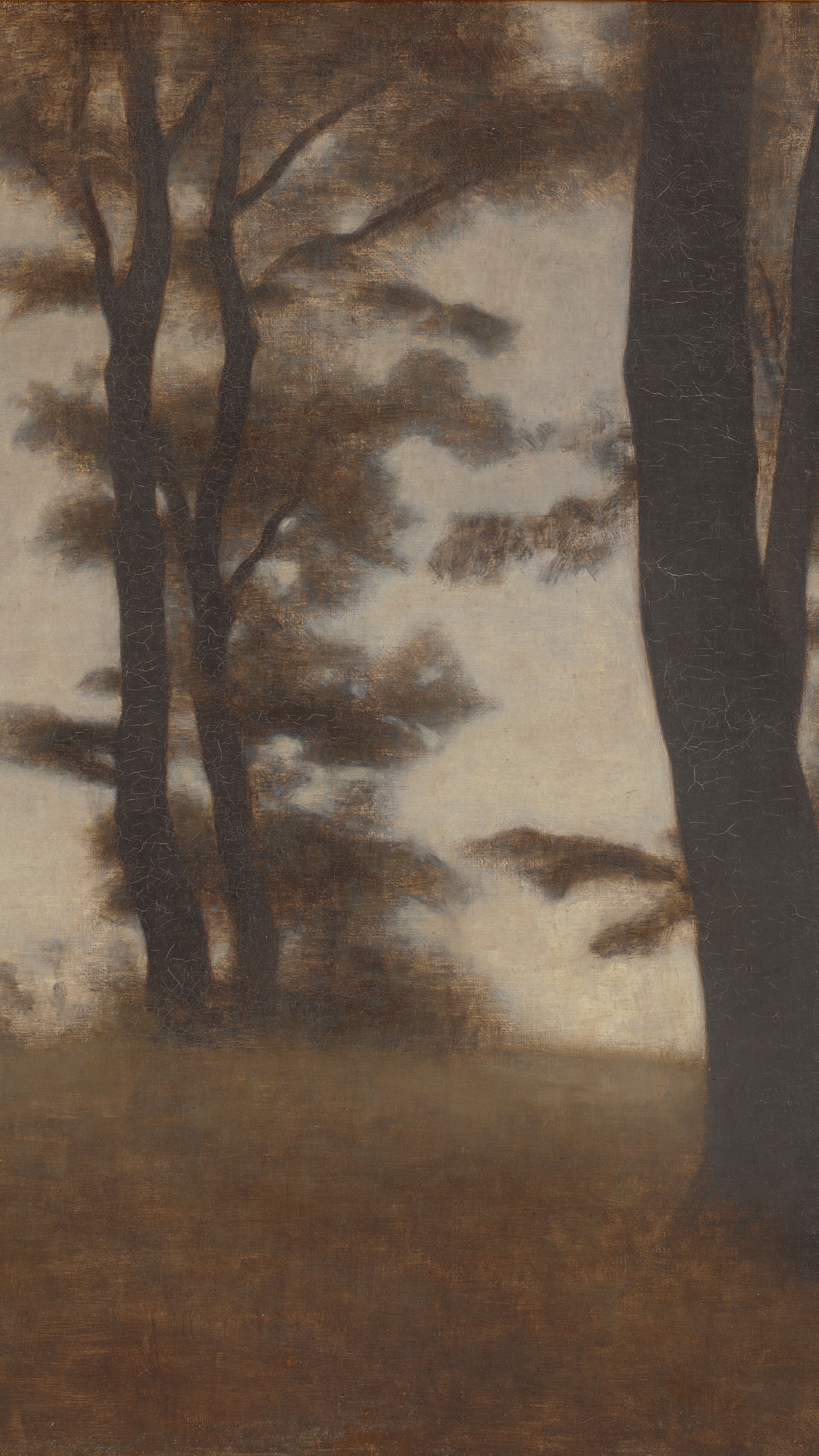 Dark moody vertical iPhone background from a painting: dark tree trunks silhouetted against a pale glowing sky, misty forest clearing, soft sepia and brown tones, quiet melancholy mood