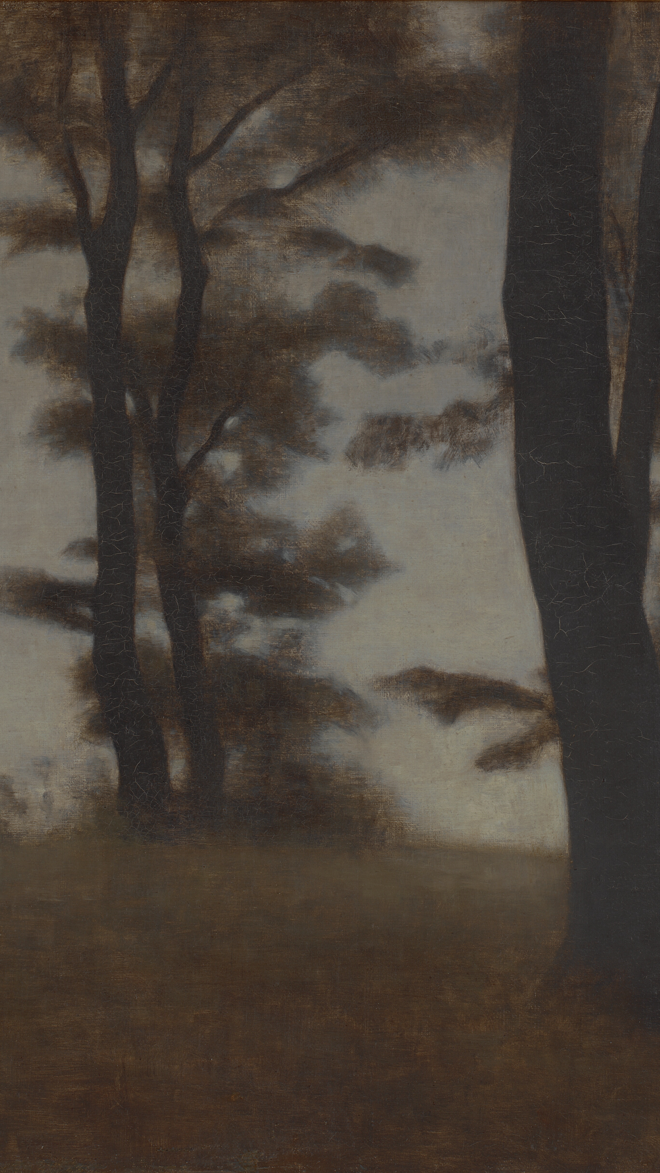Dark moody vertical iPhone background from a painting: dark tree trunks silhouetted against a pale glowing sky, misty forest clearing, soft sepia and brown tones, quiet melancholy mood