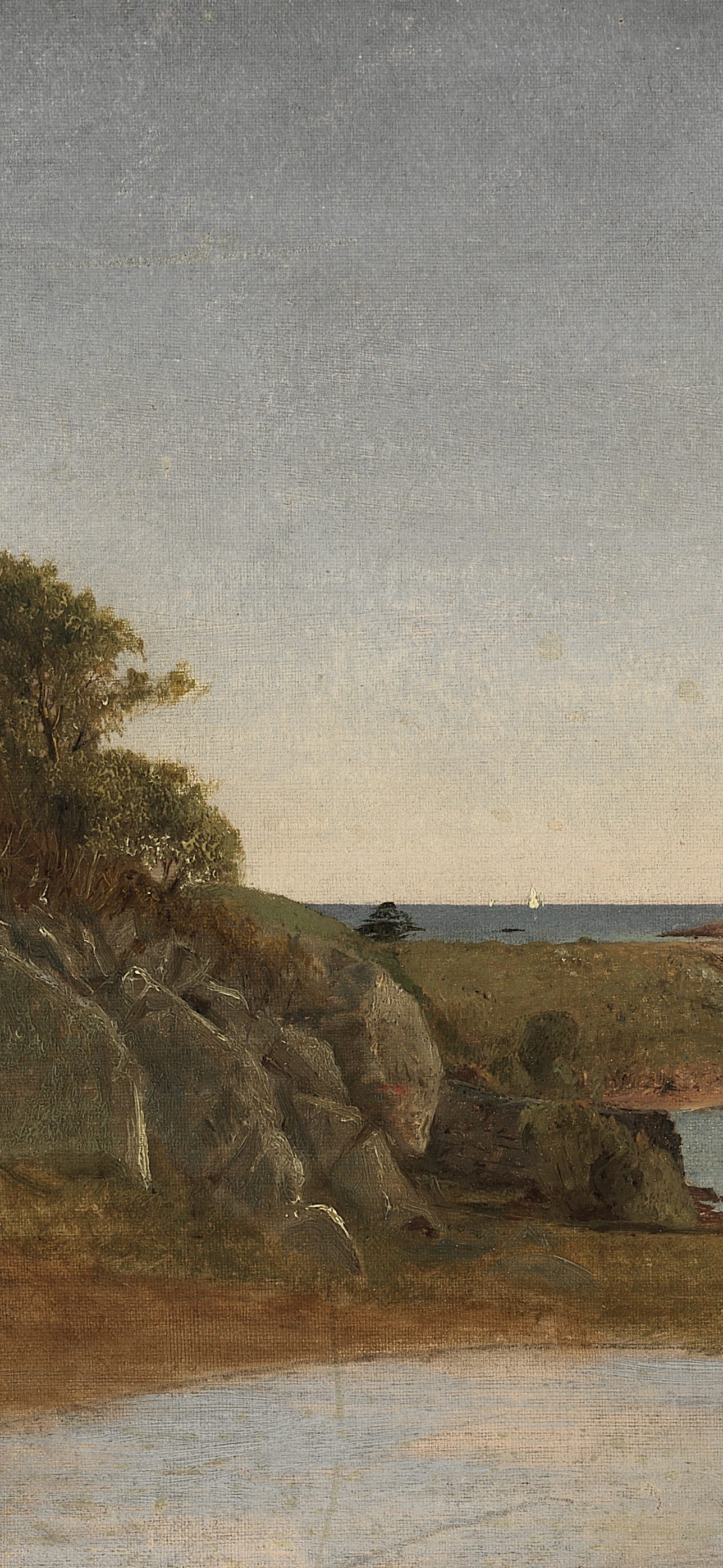 View near Newport, cropped to 9:19.5, tall phone background