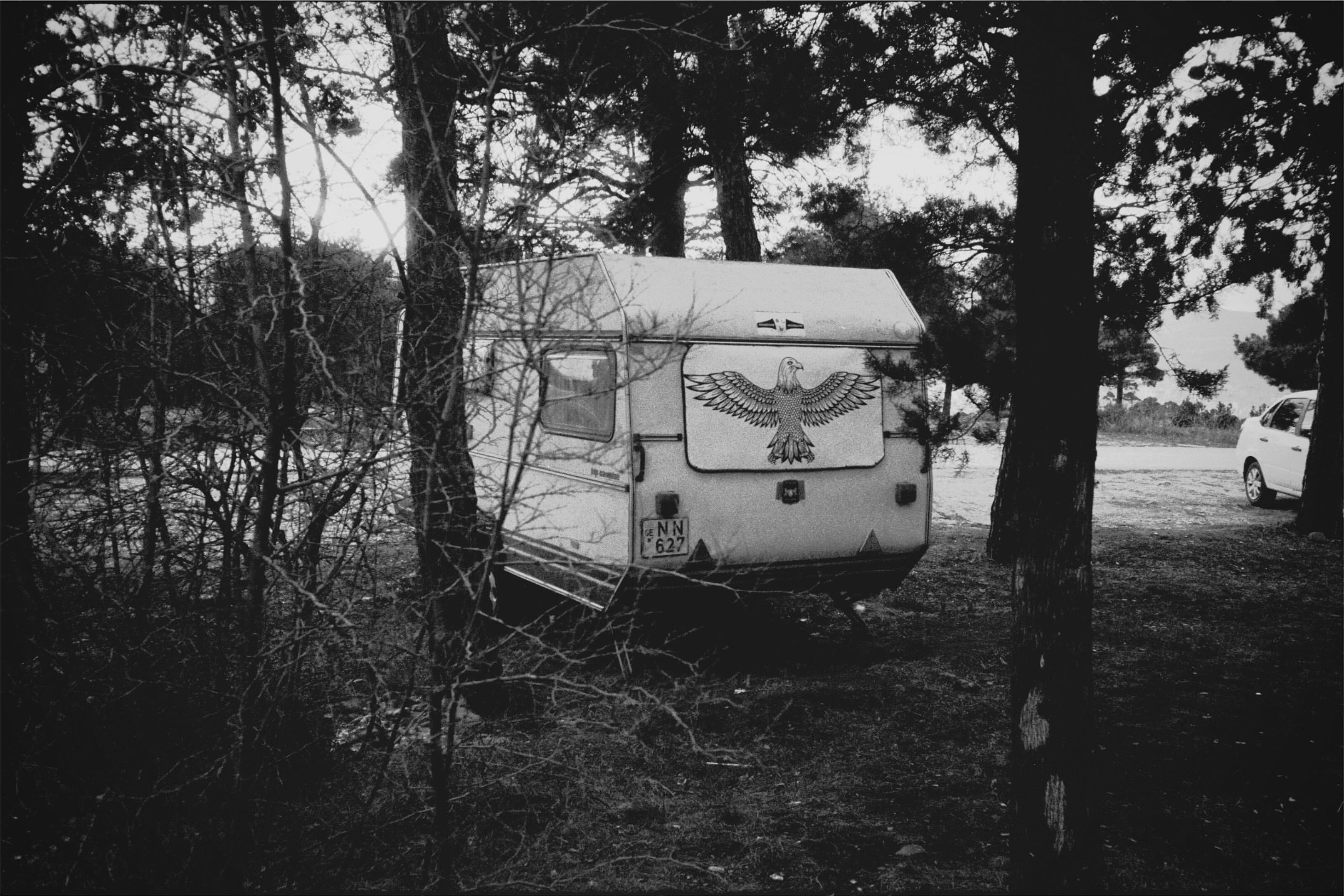 Desktop wallpaper photo: an abandoned caravan trailer in a bare forest, black and white