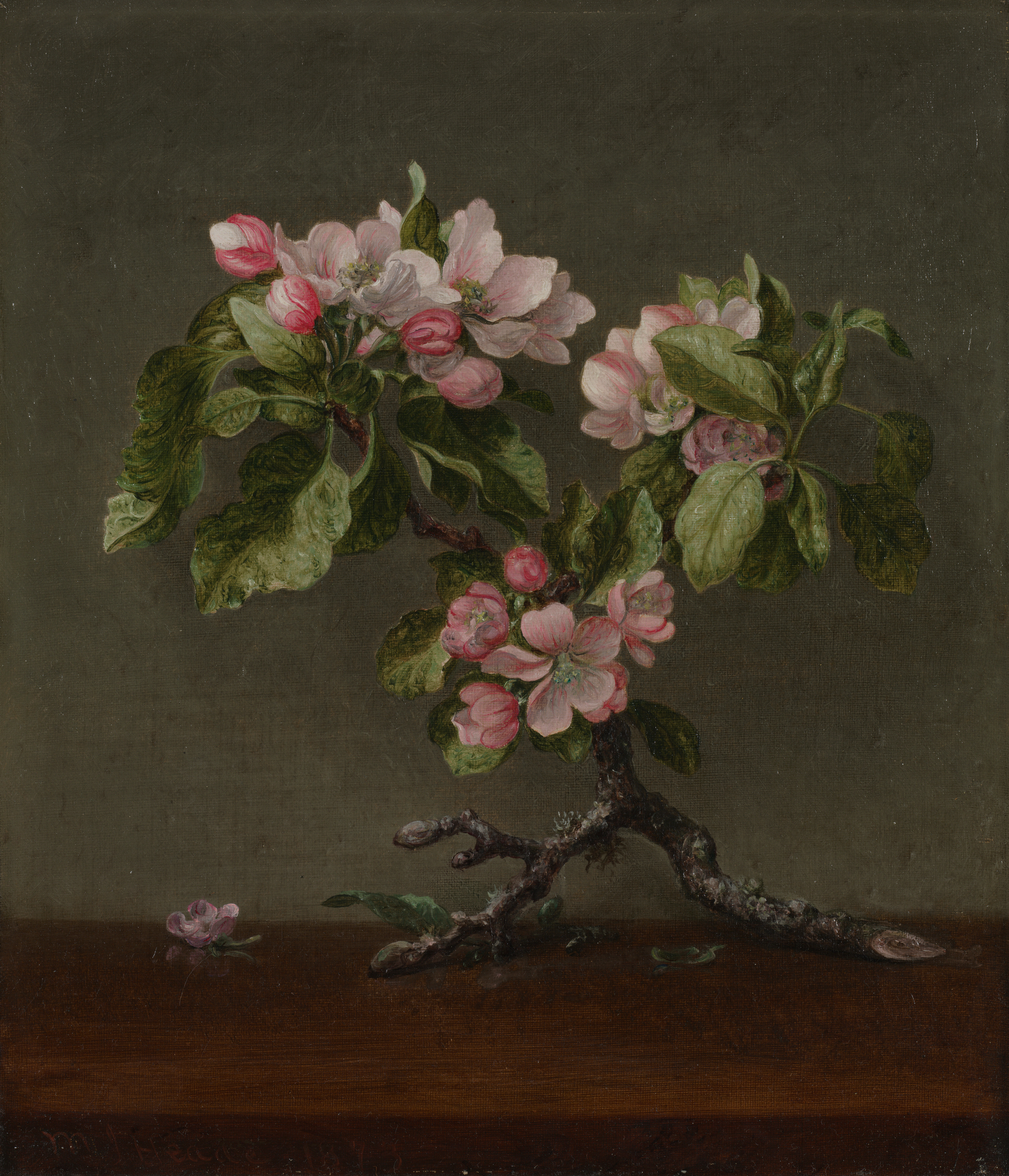 Apple Blossoms, the whole painting