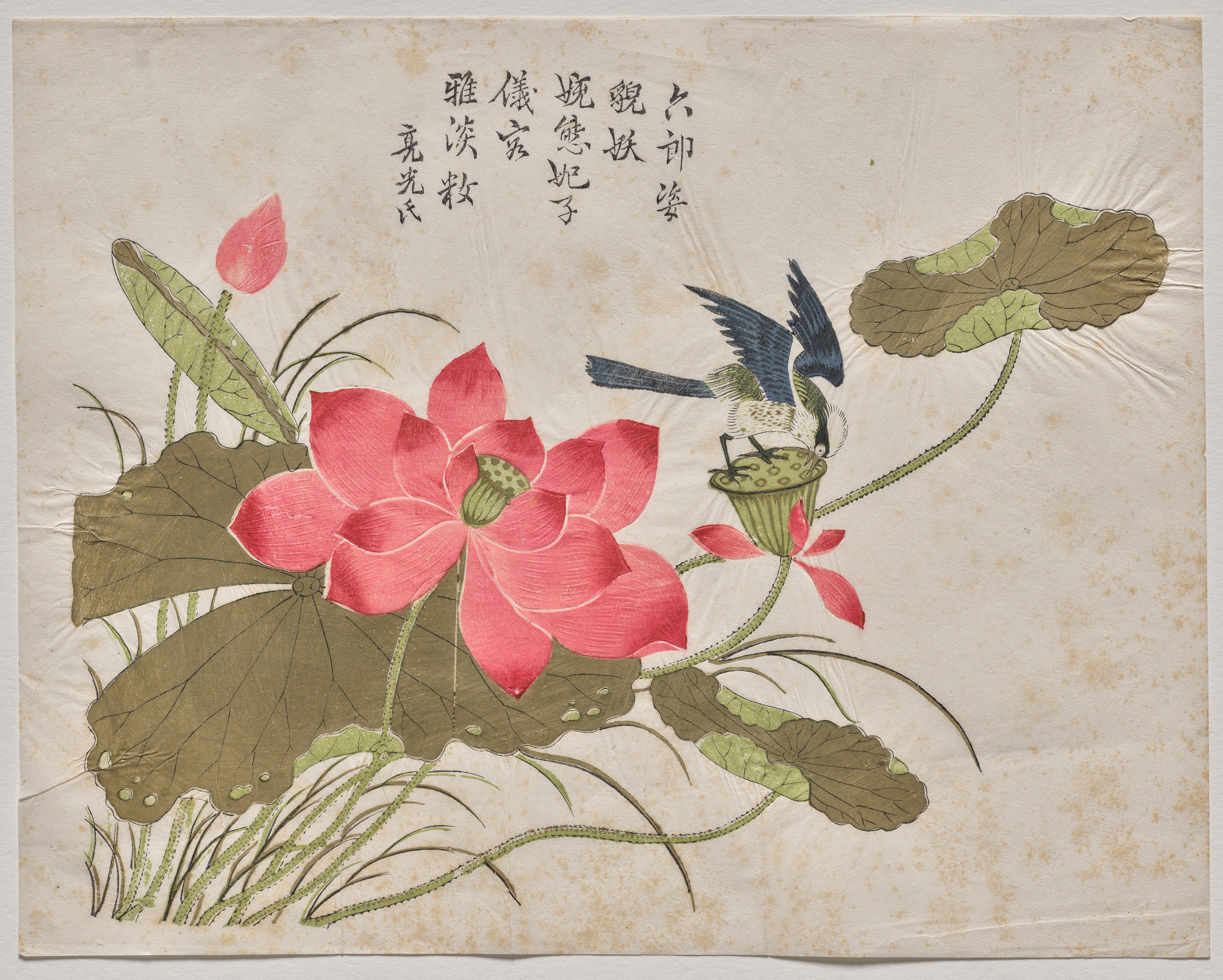 Bright floral desktop wallpaper from a print: Bird on Lotus, Southeast China, 1700–1750 — Cleveland Museum of Art