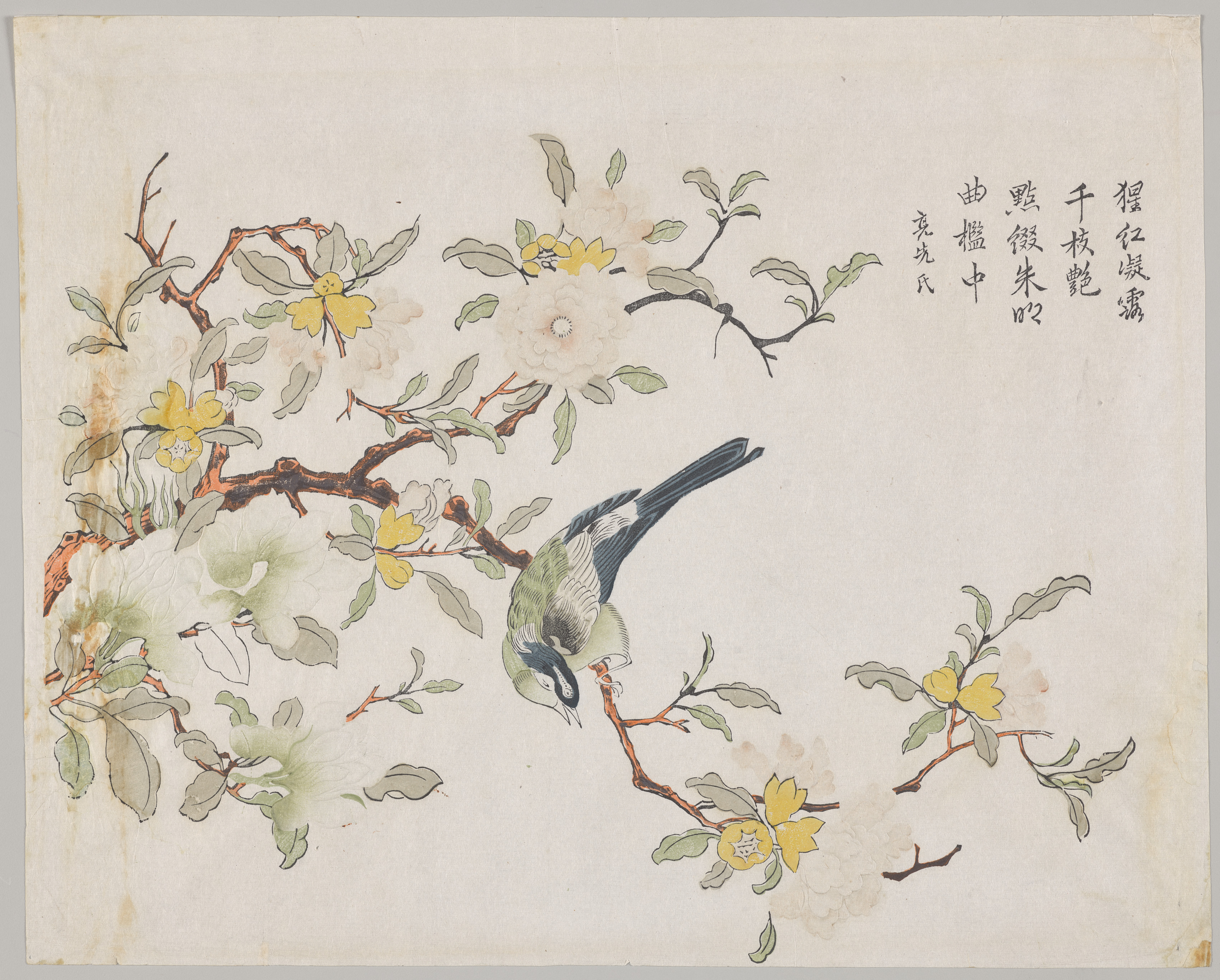 Bright bird desktop wallpaper from a print: Bird on Pomegranate, Southeast China, 1700–1750 — Cleveland Museum of Art