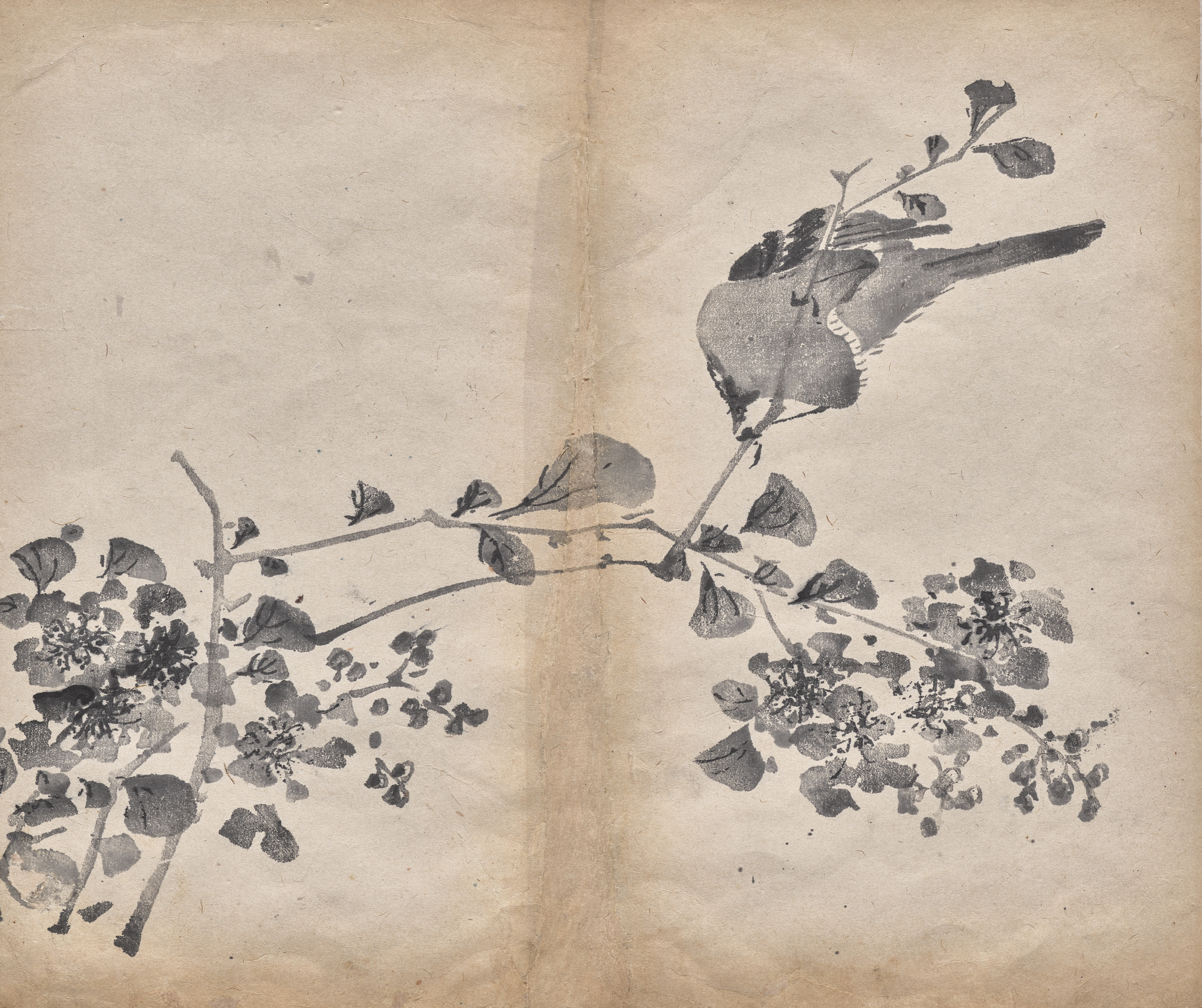 Bright floral desktop wallpaper from a print: Blossoms, China, 1625 — Cleveland Museum of Art
