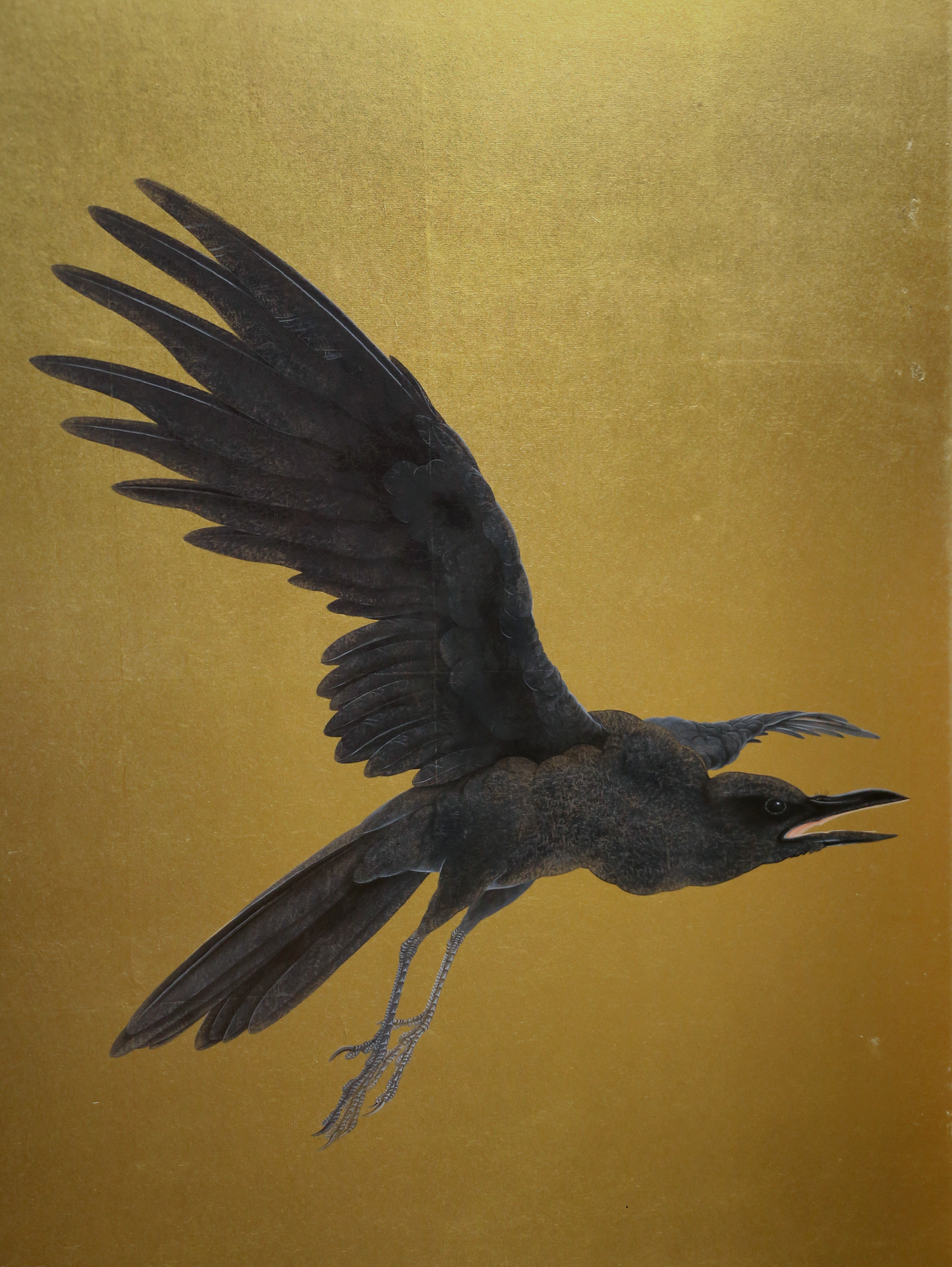 Crow in flight, the whole painting