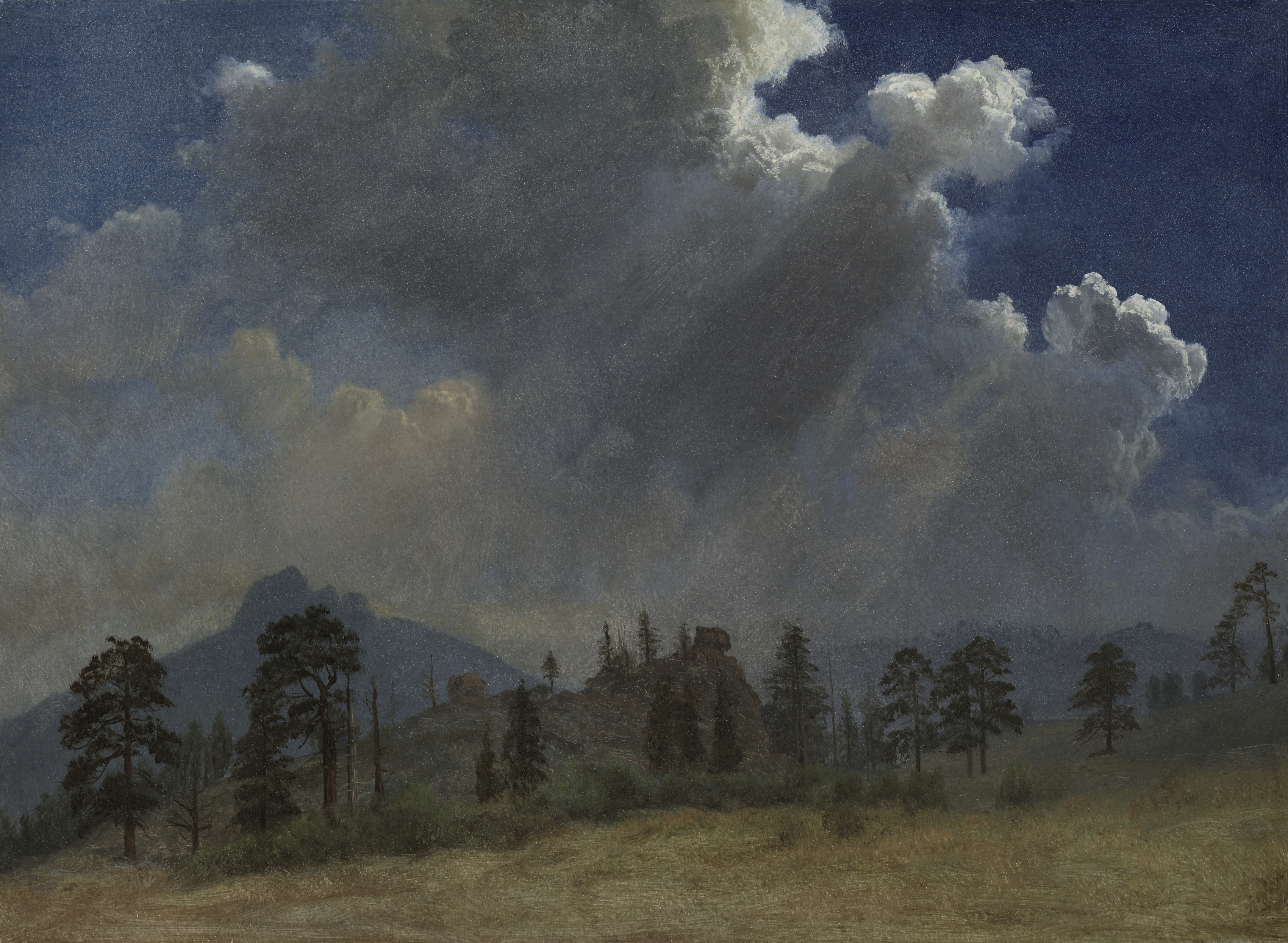 Forest landscape desktop wallpaper from a painting: Fir Trees and Storm Clouds, Albert Bierstadt, c. 1870 — Cleveland Museum of Art