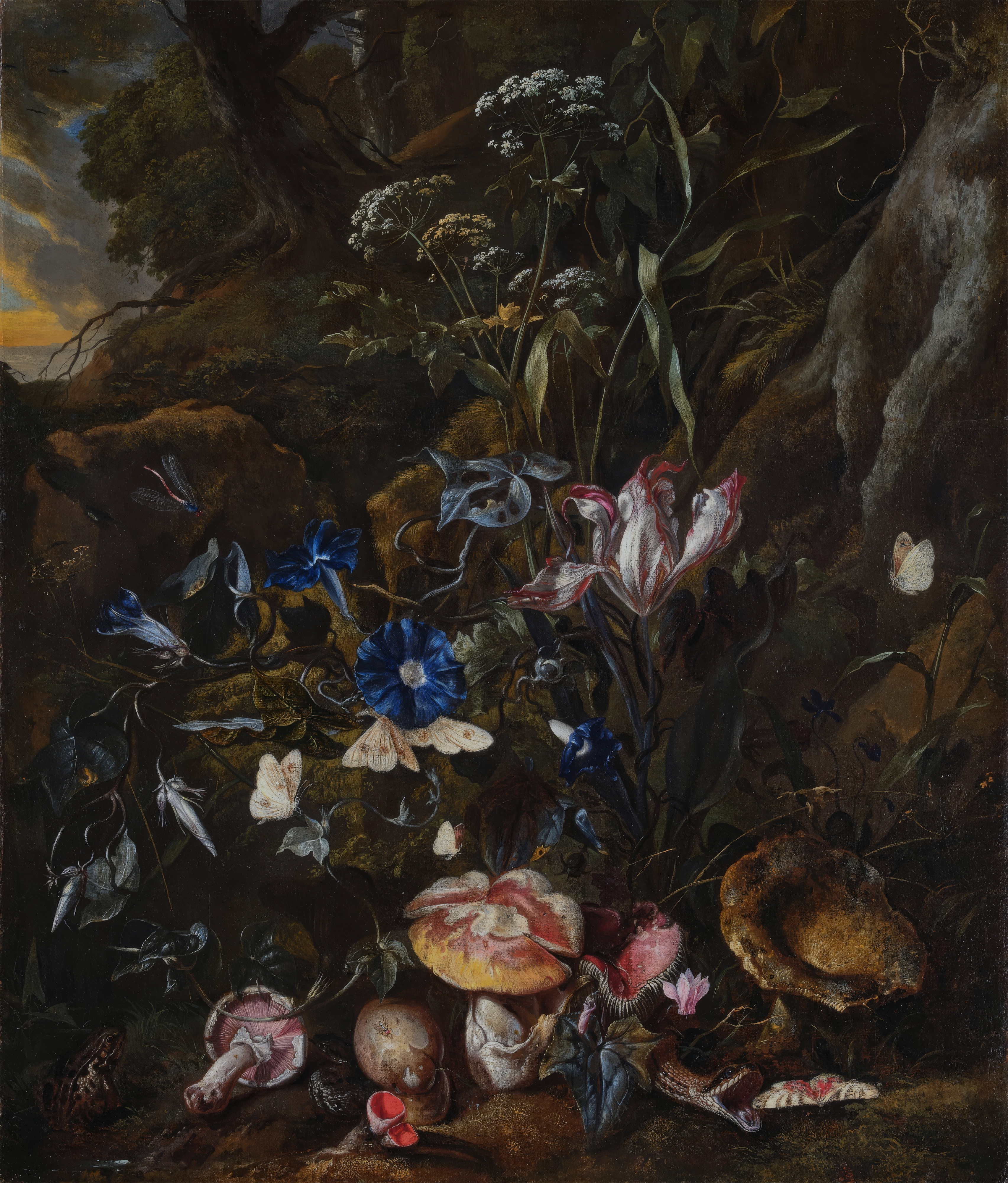 Forest Floor Still-Life, the whole painting