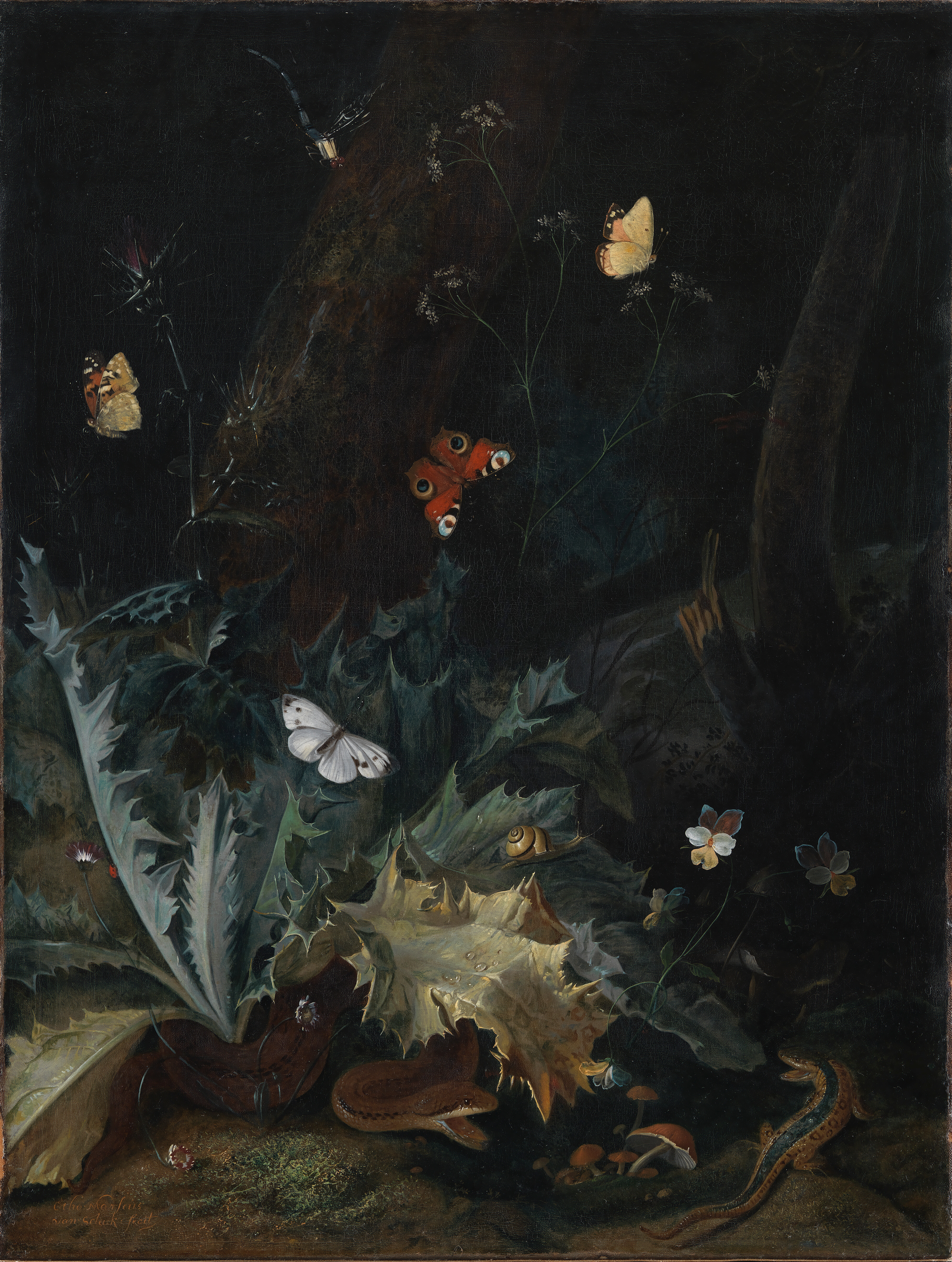 Dark nature phone wallpaper from a painting: Skovbund med tidsel, en slange, et firben og sommerfugle, Otto Marseus van Schrieck, 1635–1678 — SMK, National Gallery of Denmark