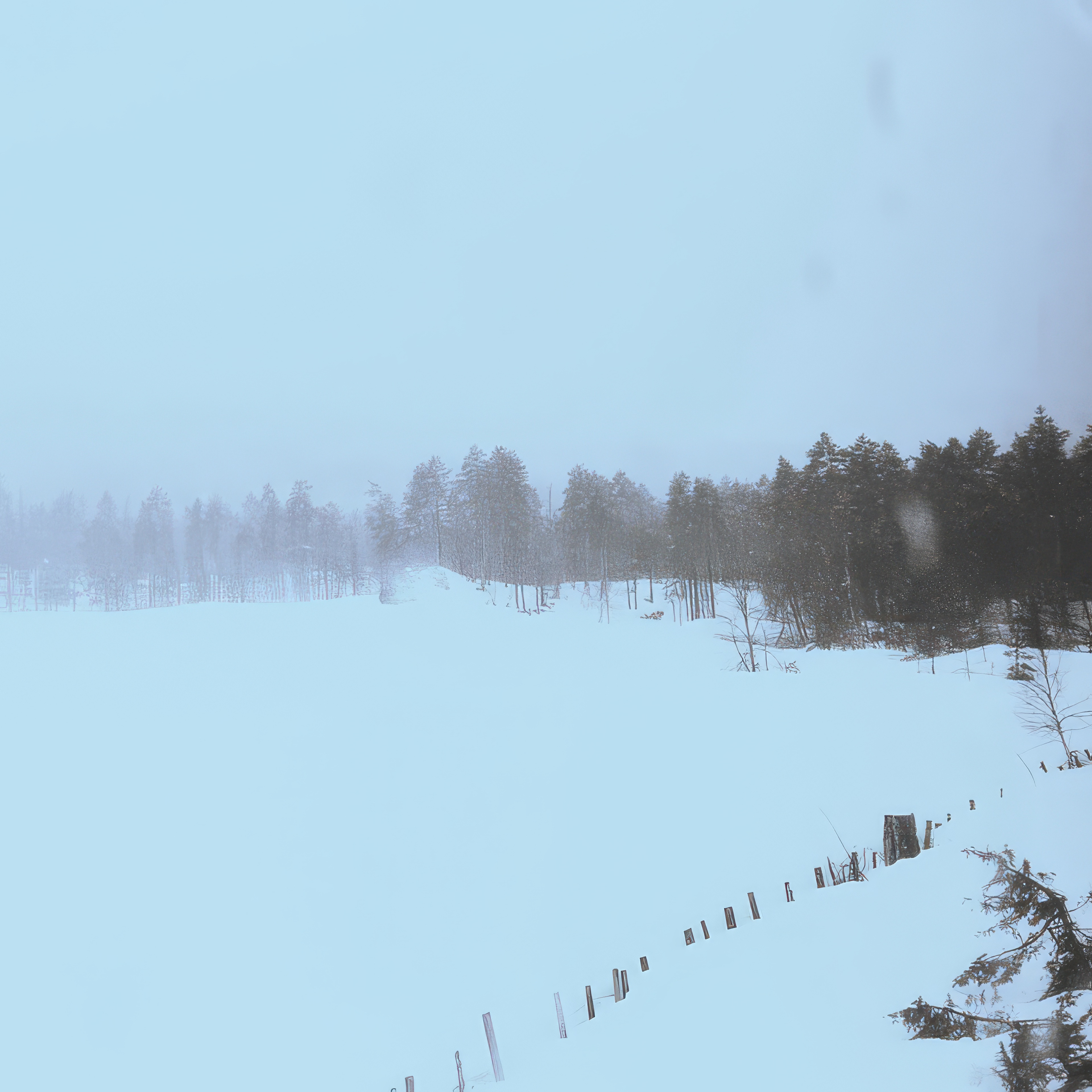 Phone wallpaper photo: a frozen, snow-covered lake bordered by a dark treeline