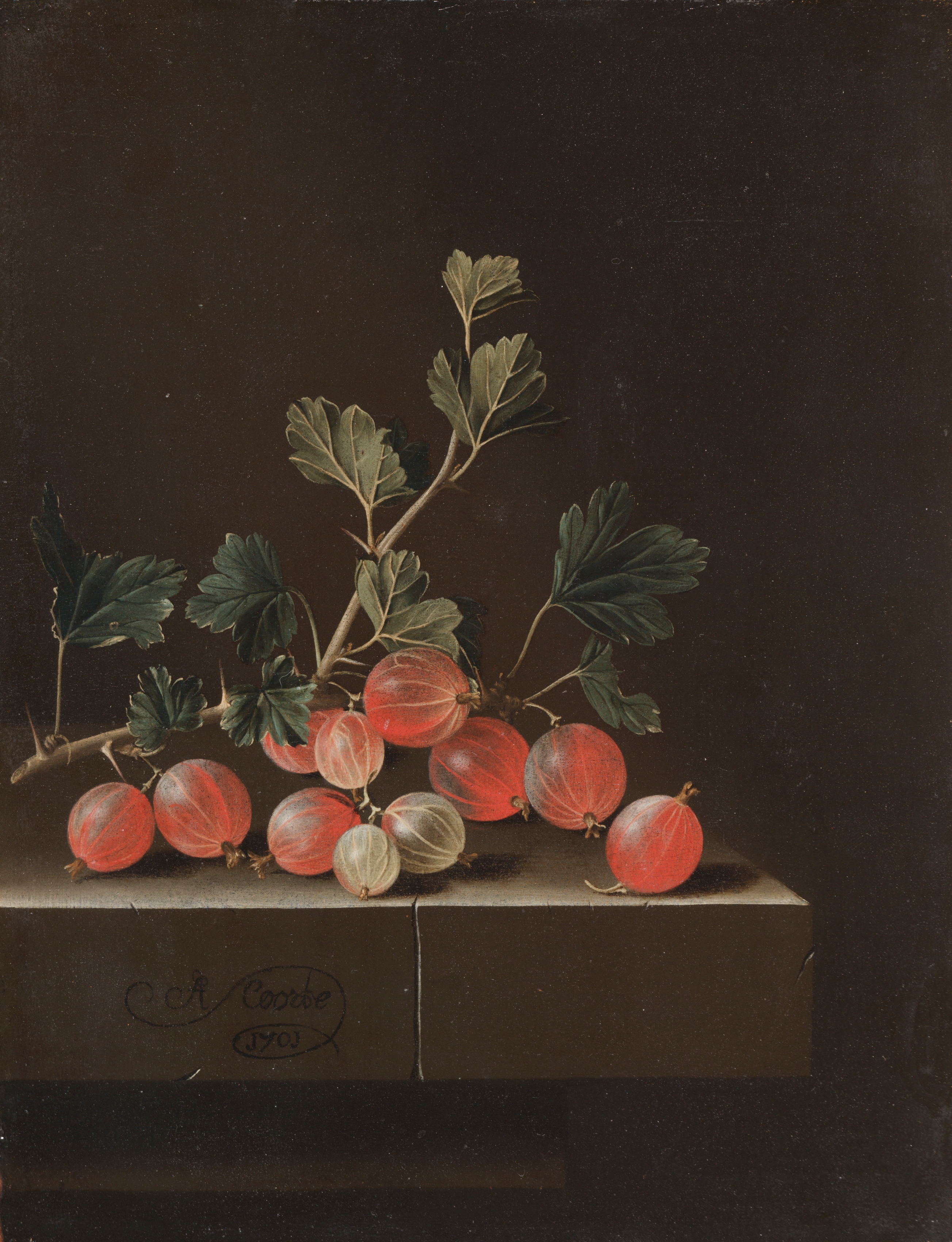 Dark bird phone wallpaper from a painting: Gooseberries on a Table, Adriaen Coorte, 1701 — Cleveland Museum of Art