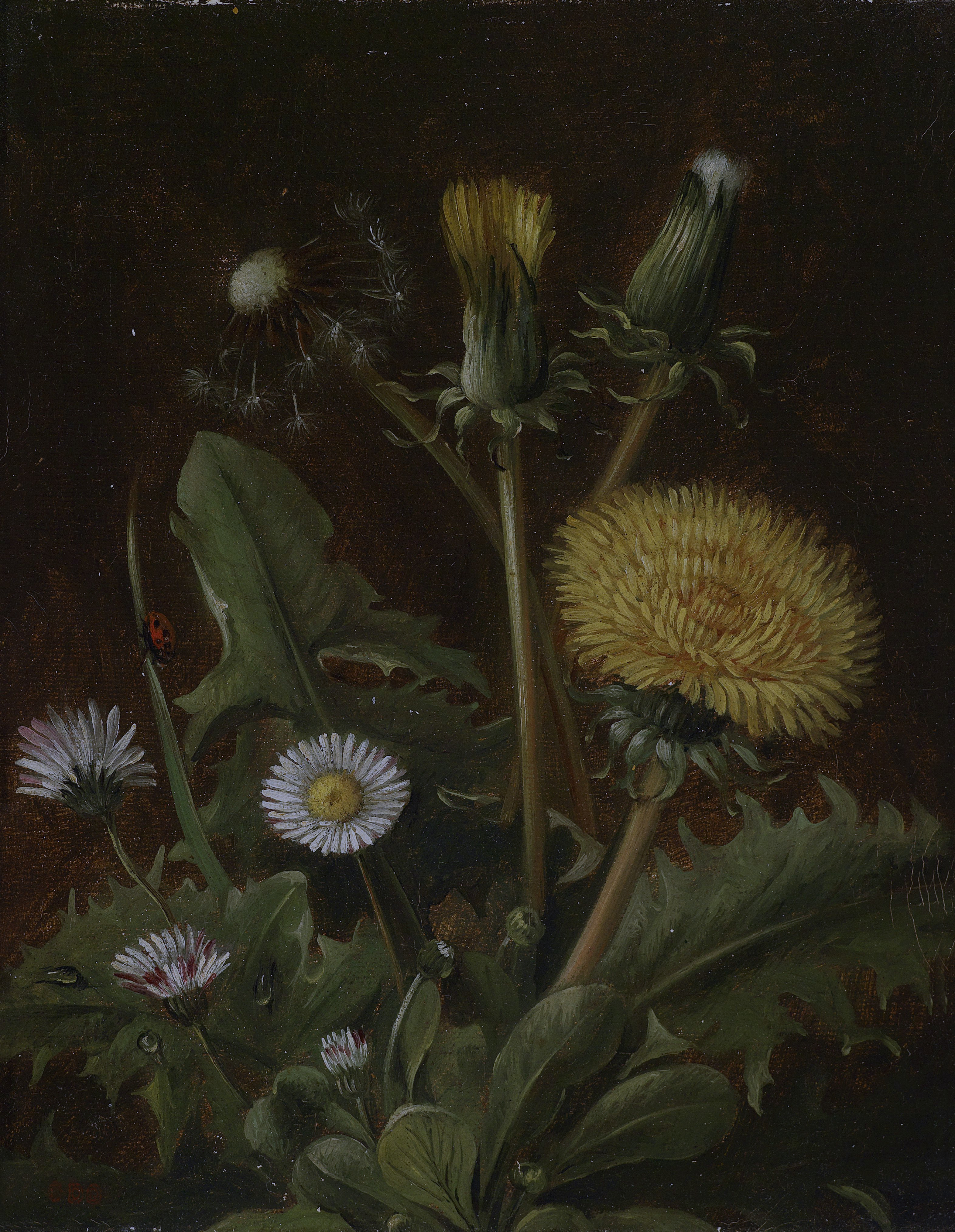 Still Life with Dandelion, the whole painting