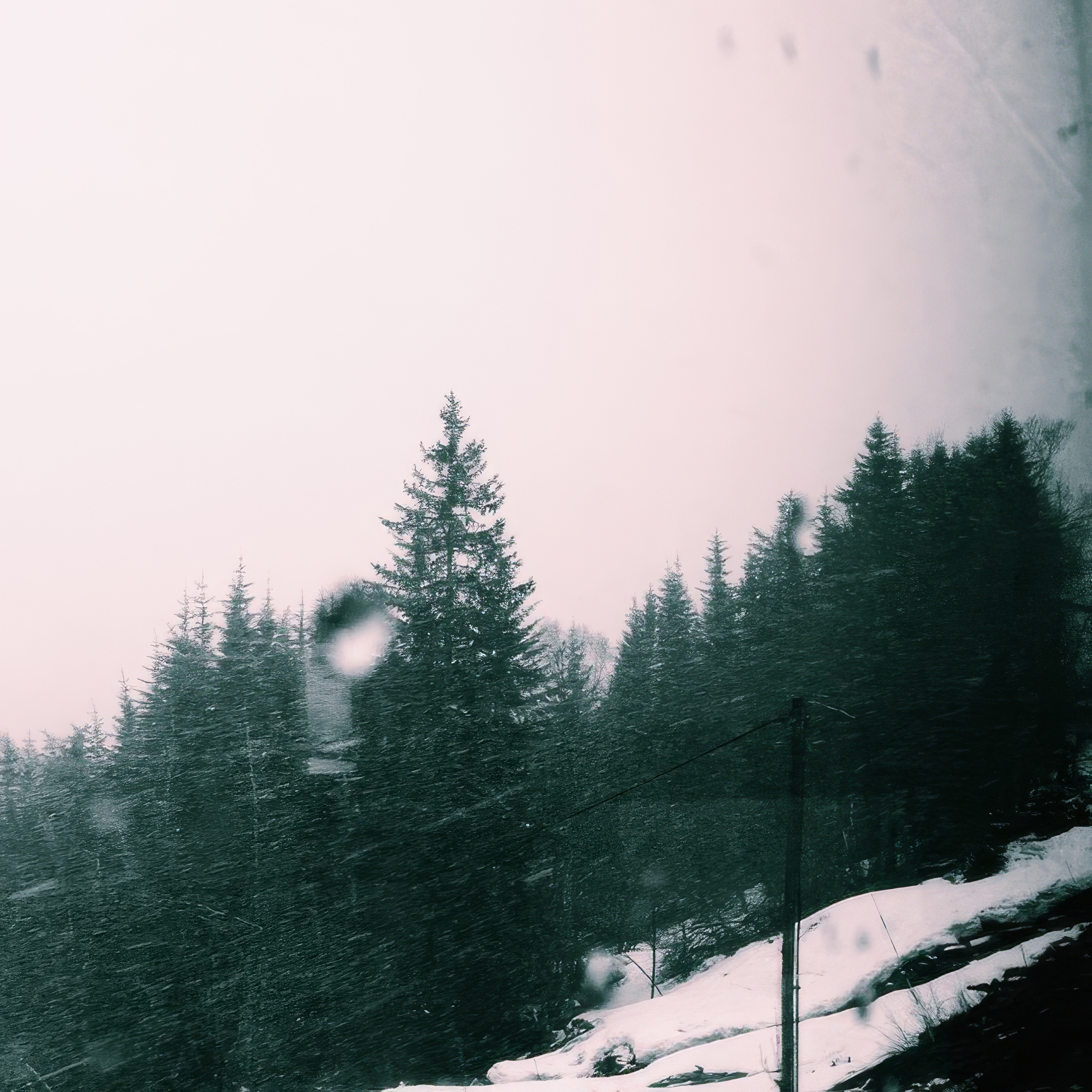 Phone wallpaper photo: snow-dusted pine trees against a pale pink evening sky