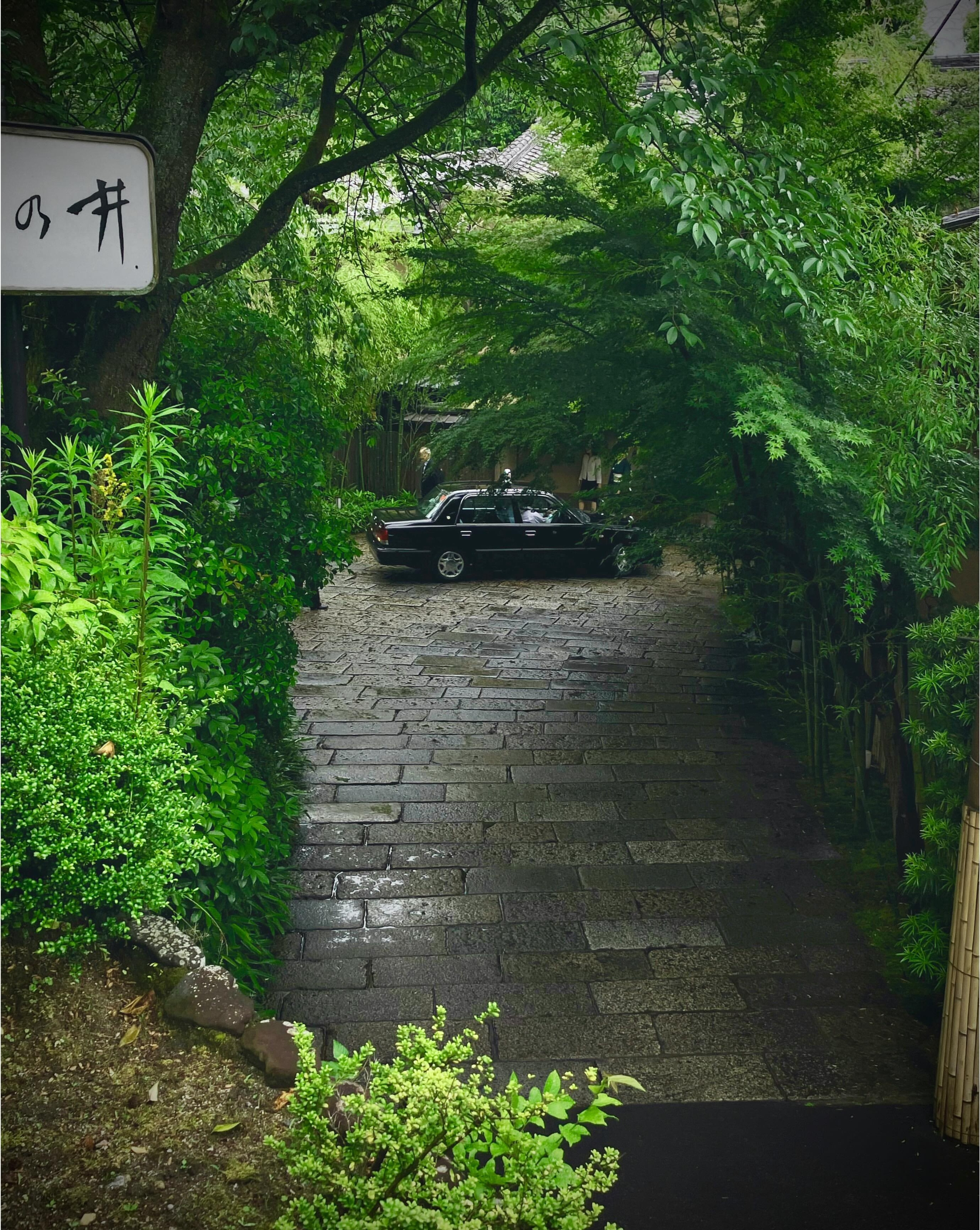 Phone wallpaper photo: a stone path through a tunnel of green foliage, a parked car at the end
